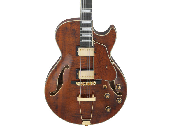 ibanez-ag95mg-artcore-expressionist-dark-amber_6978e72a96891.jpg
