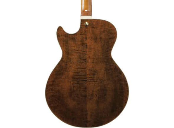 ibanez-ag95mg-artcore-expressionist-dark-amber_6978e72d46b04.jpg