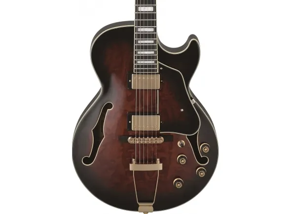 ibanez-ag95qa-dbs_5e429a385b1d4.webp