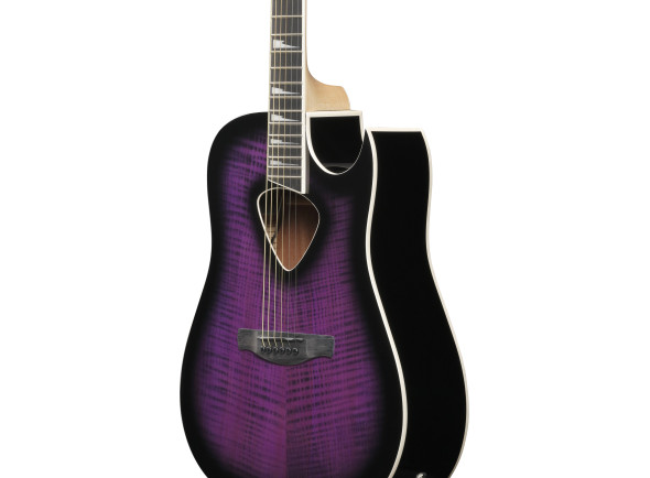 ibanez-alt50fa-tvt_6981c93b94ba8.jpg
