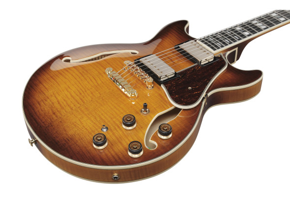 ibanez-am153fm-att_6978e86963d36.jpg