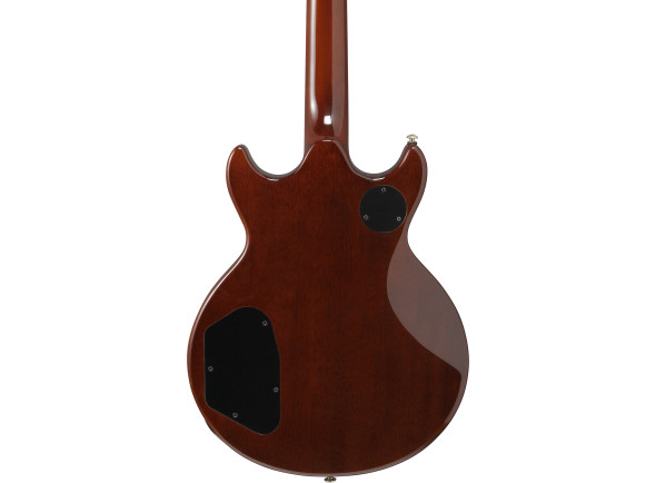 ibanez-ar320-mbm_6967801f5396c.jpg
