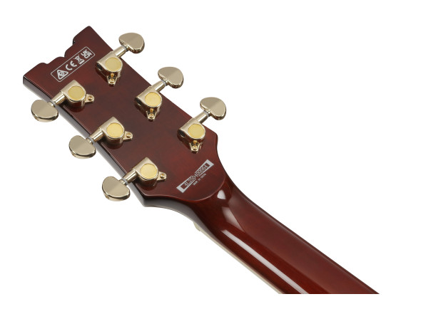 ibanez-ar320-mbm_696780292904b.jpg