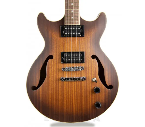 ibanez-artcore-am53-tobacco-flat_609bf68ba9a48.webp