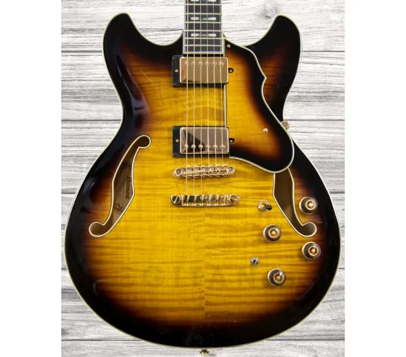 ibanez-as153-ays_5ff5d8ac0c76d.webp