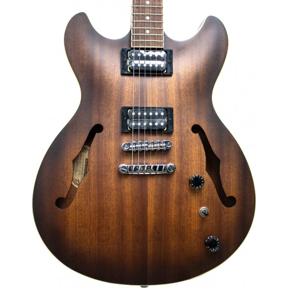 ibanez-as53-tf_5efe015a7ea8c.jpg