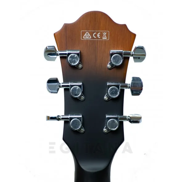 ibanez-as53-tf_5efe015c6ceb5.webp