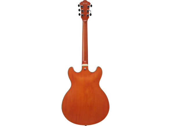ibanez-as73-ttf_67d851961839f.jpg