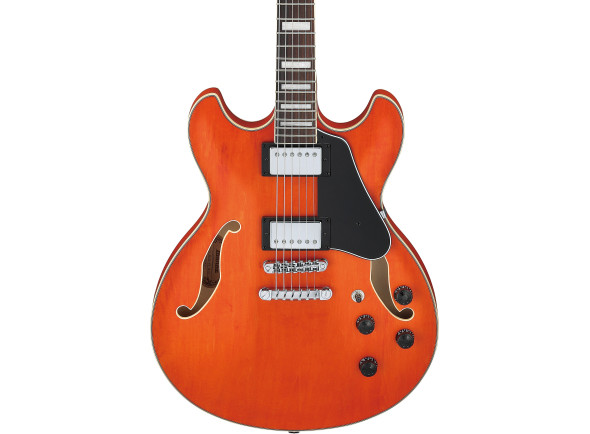 ibanez-as73-ttf_67d8519e3ee61.jpg