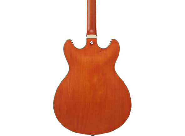 ibanez-as73-ttf_67d851a2bcef7.jpg