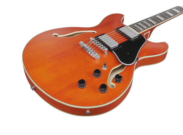 ibanez-as73-ttf_67d851a699185.jpg