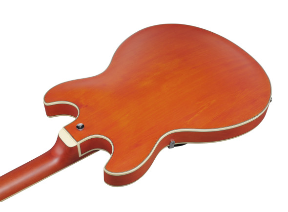 ibanez-as73-ttf_67d851aa86187.jpg