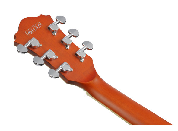ibanez-as73-ttf_67d851b2d0afe.jpg