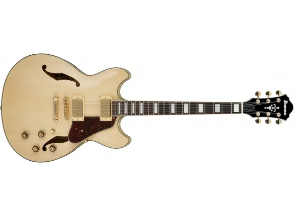 ibanez-as73g-nt_5dcd753e4920d.webp