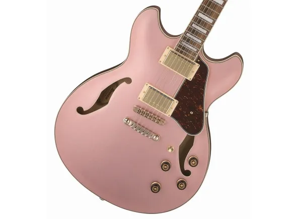 ibanez-as73g-rgf_604a28ac060f4.webp
