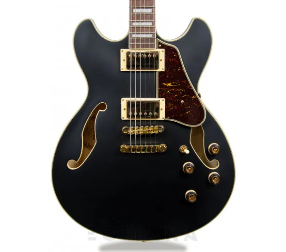 ibanez-as73gbkf_6058b0492da86.webp