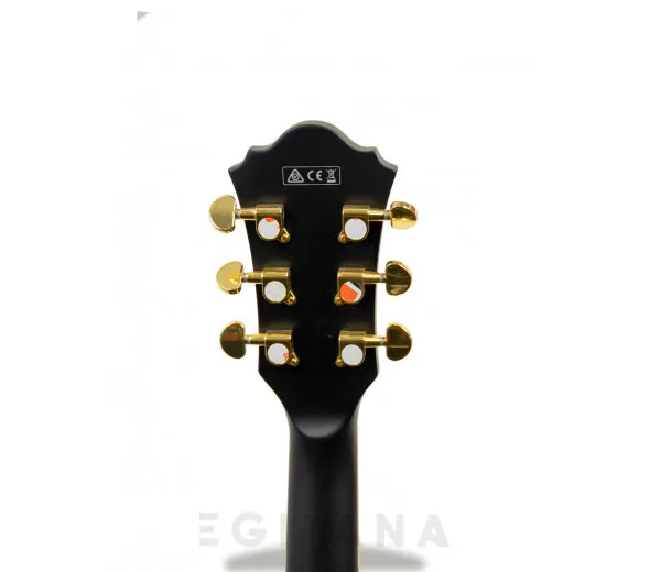 ibanez-as73gbkf_6058b04a1c78b.webp