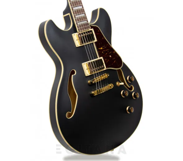 ibanez-as73gbkf_6058b04aed8f3.webp