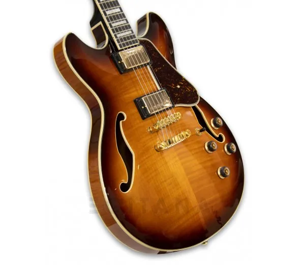ibanez-as93fm-vls_5fbe7325360aa.webp