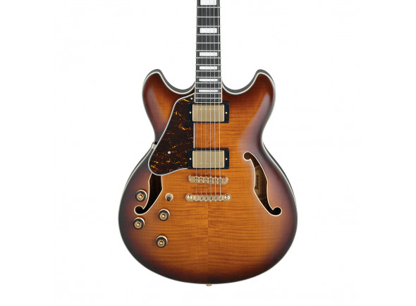 ibanez-as93fml-vls_63654305ce1d0.jpg