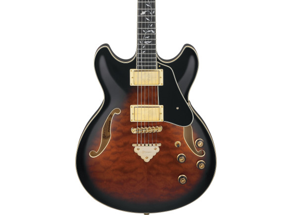 ibanez-as93qmsp-dbs_6797535410c09.jpg