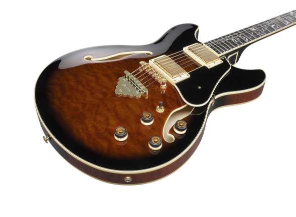 ibanez-as93qmsp-dbs_6797535ccf8a3.jpg