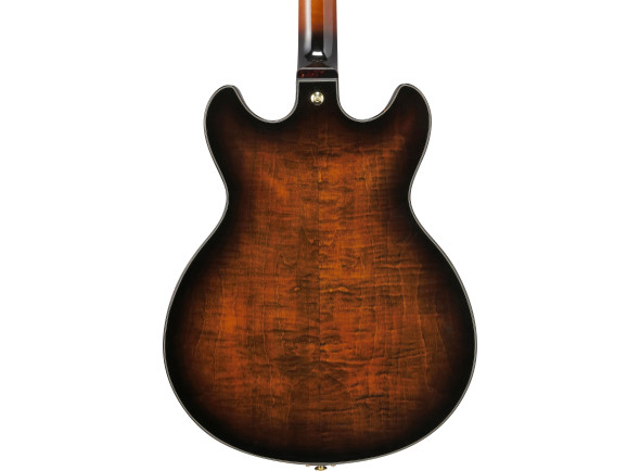 ibanez-ash300-tbc_6981bd9525789.jpg