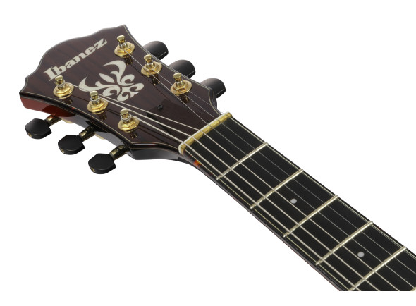 ibanez-ash300-tbc_6981bd9cc703a.jpg