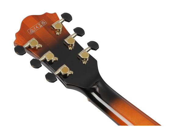 ibanez-ash300-tbc_6981bd9f37072.jpg