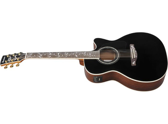 ibanez-aw391rce-bkh_68c15bf2b7117.jpg