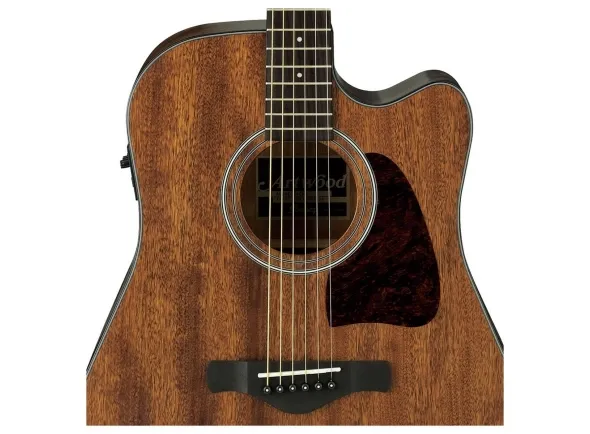 ibanez-aw54ce-opn_5caf6e223a0ff.webp