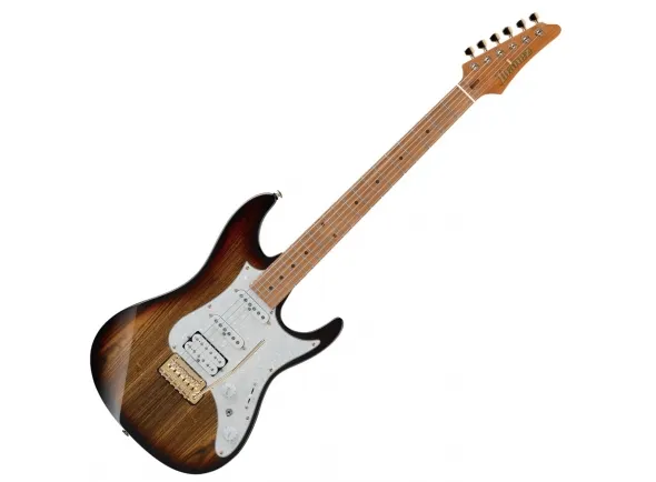 ibanez-az224bcg-det-premium_5e4babb12c5e5.webp