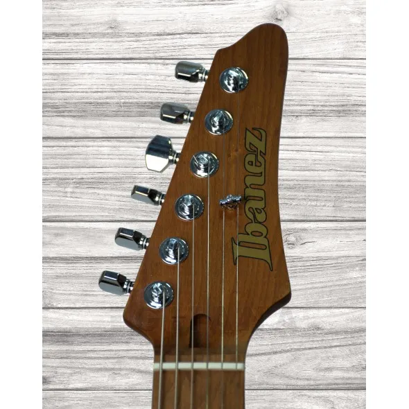 ibanez-az224f-bi_5f0d8c329d0b1.webp