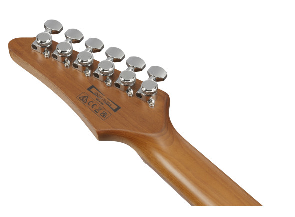 ibanez-az22s2-bk_696e1f8d3463b.jpg