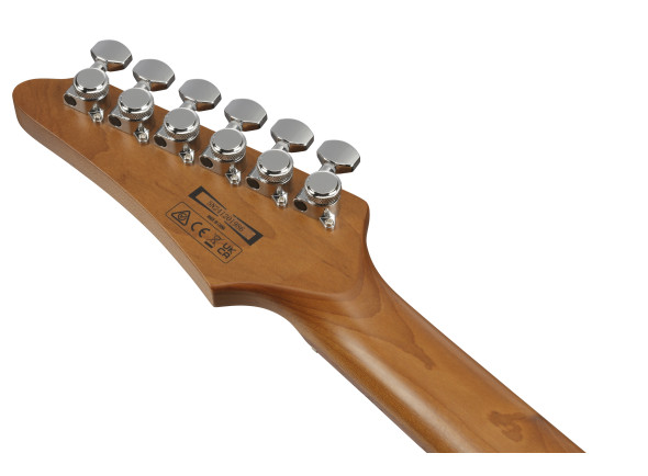 ibanez-az24s2-bk_696e38036467b.jpg