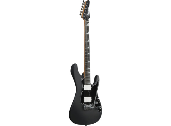 ibanez-ber10-bernth-signature-bk_69f1e09aa326a.jpg
