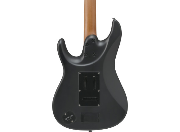 ibanez-ber10-bernth-signature-bk_69f1e09fb0b7d.jpg