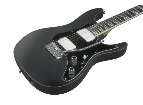 ibanez-ber10-bernth-signature-bk_69f1e0a2674cf.jpg
