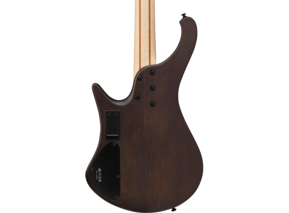 ibanez-ehb600-wnf-walnut-flat_691dfa1acc887.jpg