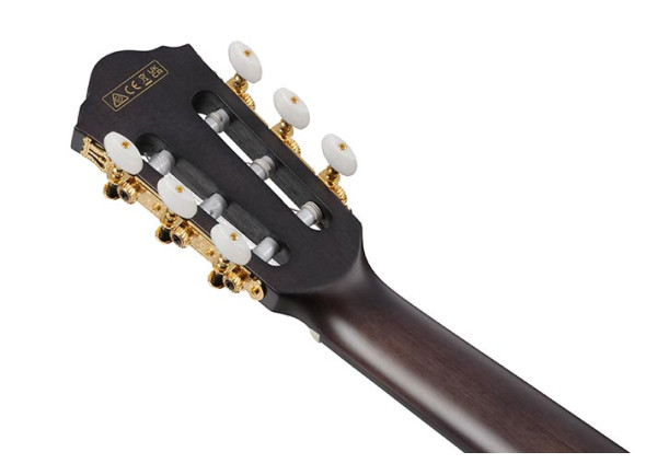 ibanez-frh20fmn-dgl_68f101ef449cb.jpg