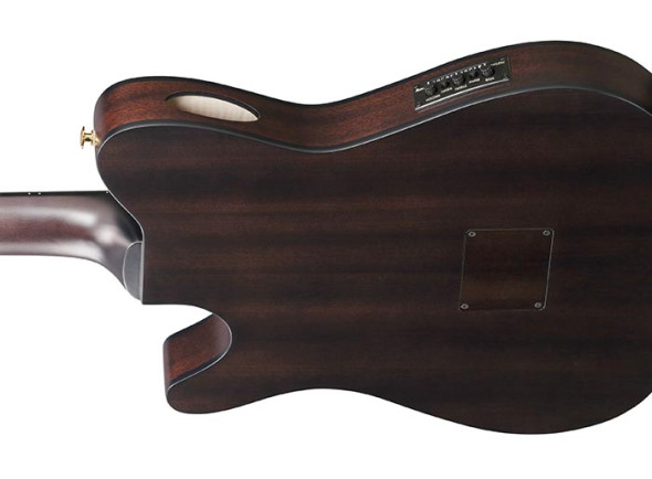 ibanez-frh20fmn-dgl_68f101f10d510.jpg