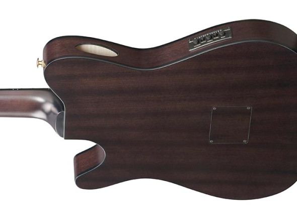 ibanez-frh20qmn-ctl_68b56d5c1fd4c.jpg