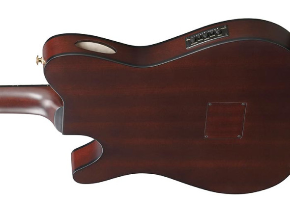 ibanez-frh20qmn-wrl_68f104962a35a.jpg
