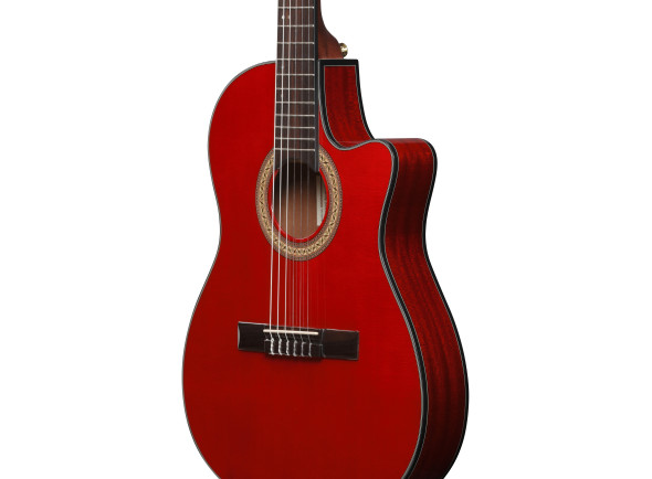 ibanez-ga35tce-srr_696e4a0d86487.jpg