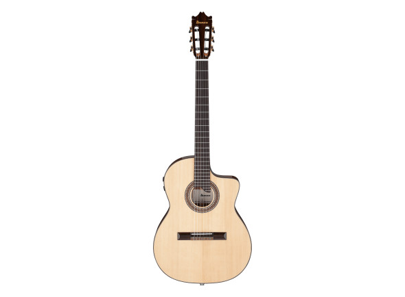 ibanez-ga360tce-nt_69f200cf2b310.jpg