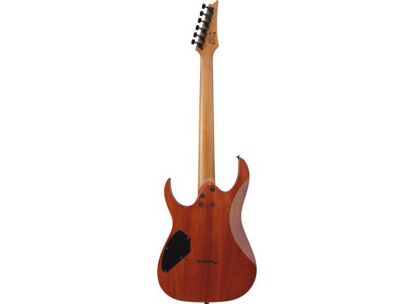 ibanez-grgr221fa-tdk_69676fe56ecc9.jpg
