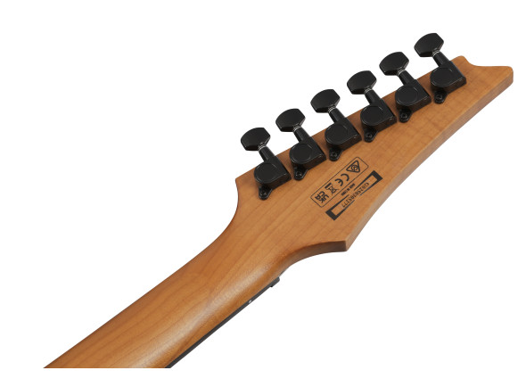 ibanez-grgr221fa-tdk_69676ff6a6ffe.jpg