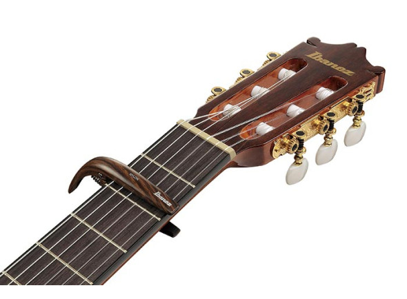 ibanez-icgc10w_69b283bae82a0.jpg