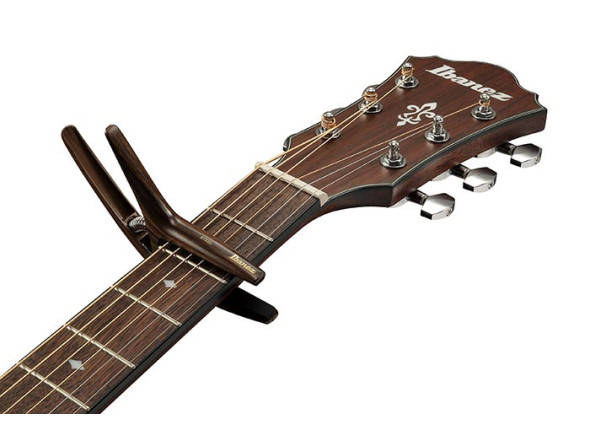 ibanez-icgc10w_69b283bcac85e.jpg