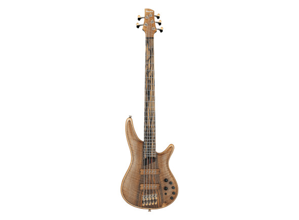 ibanez-iv1sr_697a24e34b96a.jpg